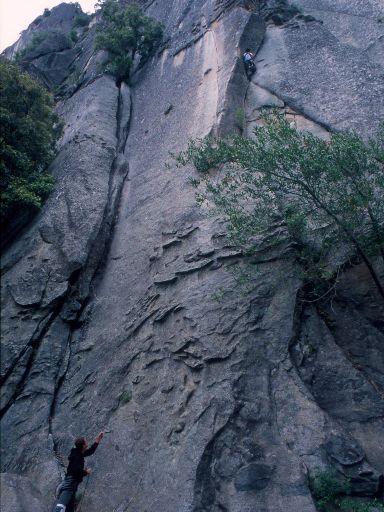 Image228.web.jpg