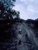 [thumbnail of Picture 5]