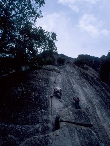 Image231.web.jpg