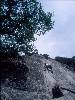 [thumbnail of Picture 6]