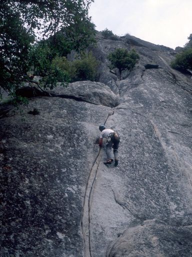 Image233.web.jpg