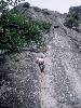 [thumbnail of Picture 9]
