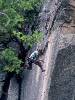 [thumbnail of Picture 10]