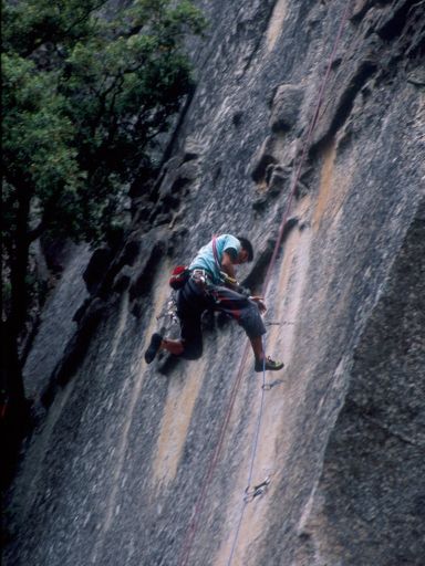 Image238.web.jpg