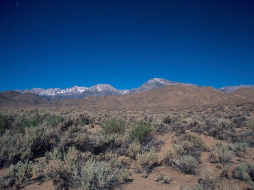 Image240.web.jpg