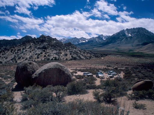 Image242.web.jpg
