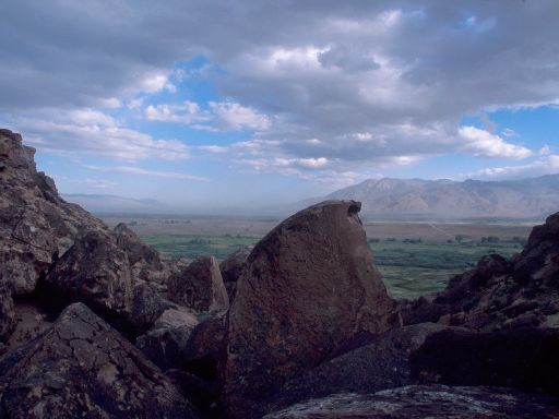 Image250.web.jpg