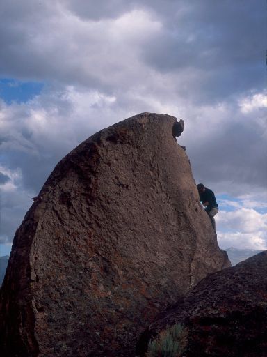 Image252.web.jpg