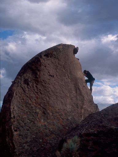 Image253.web.jpg