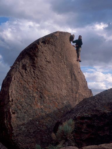 Image255.web.jpg