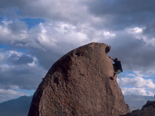 Image256.web.jpg