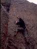 [thumbnail of Picture 33]