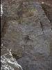 [thumbnail of Picture 2]