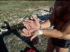 [thumbnail of Picture 8]