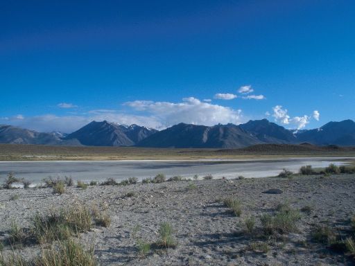 Image275.web.jpg
