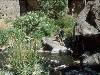 [thumbnail of Picture 15]