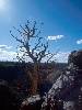 [thumbnail of Picture 22]