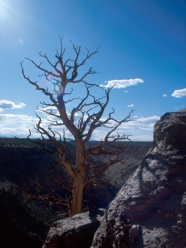 Image287.web.jpg