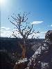 [thumbnail of Picture 23]
