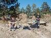 [thumbnail of Picture 32]