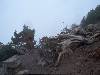 [thumbnail of Picture 10]