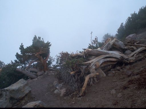 Image314.web.jpg