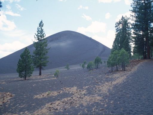 Image319.web.jpg