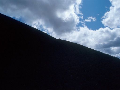 Image322.web.jpg