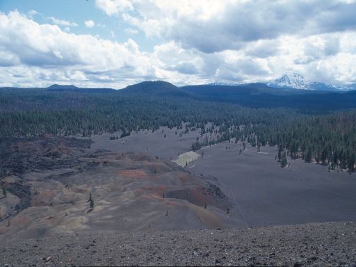 Image334.web.jpg