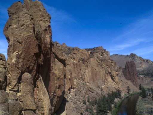 Image352.web.jpg