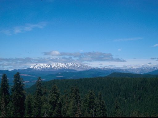 Image363.web.jpg
