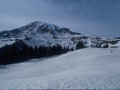 Image369.web.jpg