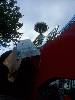 [thumbnail of Picture 36]