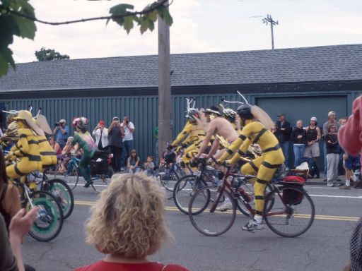 Image383.web.jpg