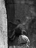 [thumbnail of Picture 5]