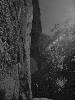 [thumbnail of Picture 7]