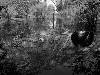 [thumbnail of Picture 18]