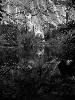 [thumbnail of Picture 19]