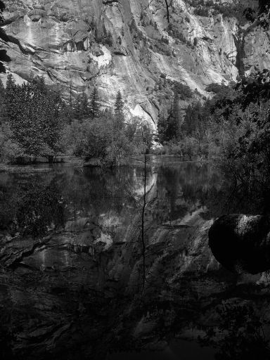 Image3325.web.jpg