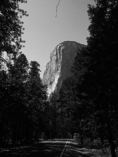 Image3329.web.jpg