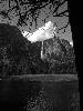 [thumbnail of Picture 24]