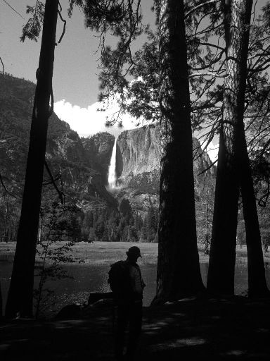Image3331.web.jpg