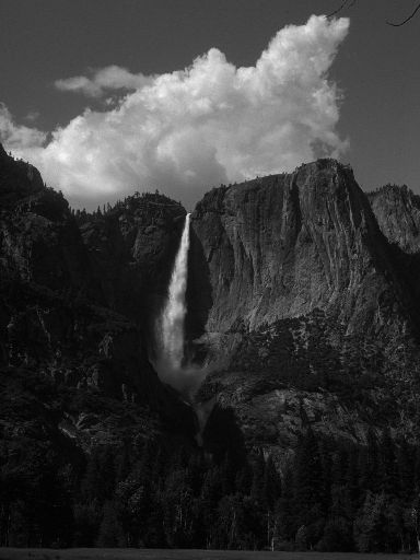 Image3333.web.jpg