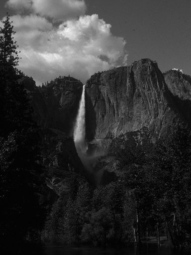 Image3335.web.jpg