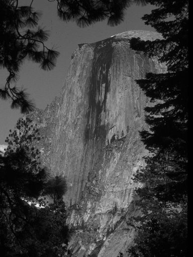 Image3336.web.jpg