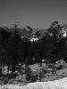 [thumbnail of Picture 2]