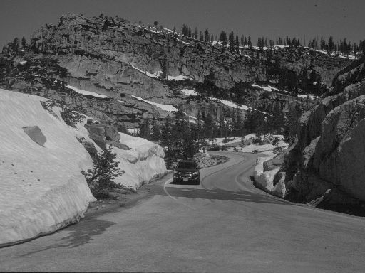 Image3377.web.jpg