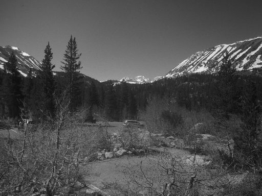 Image3390.web.jpg
