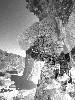 [thumbnail of Picture 24]