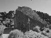 [thumbnail of Picture 28]